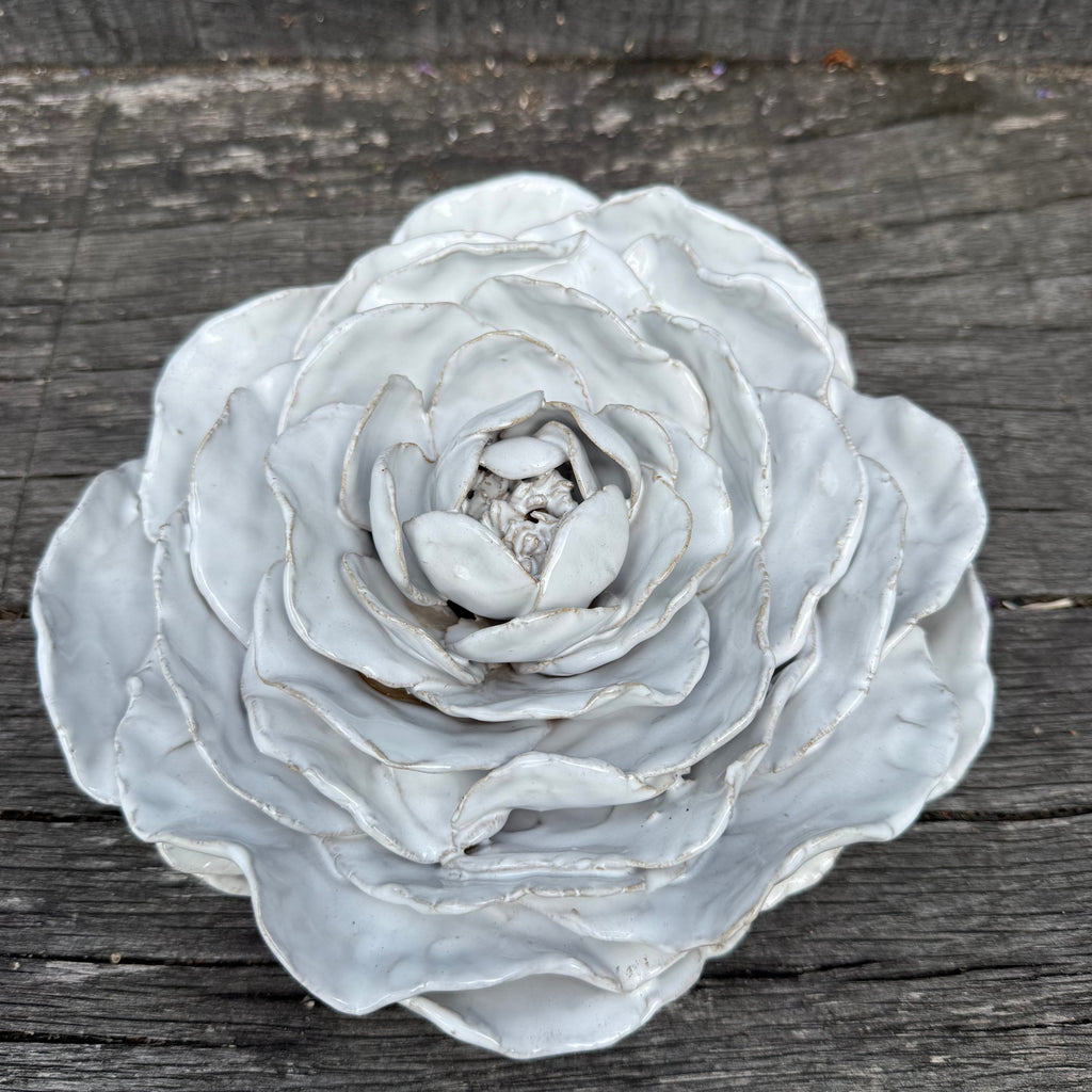 White ceramic rose on wood 