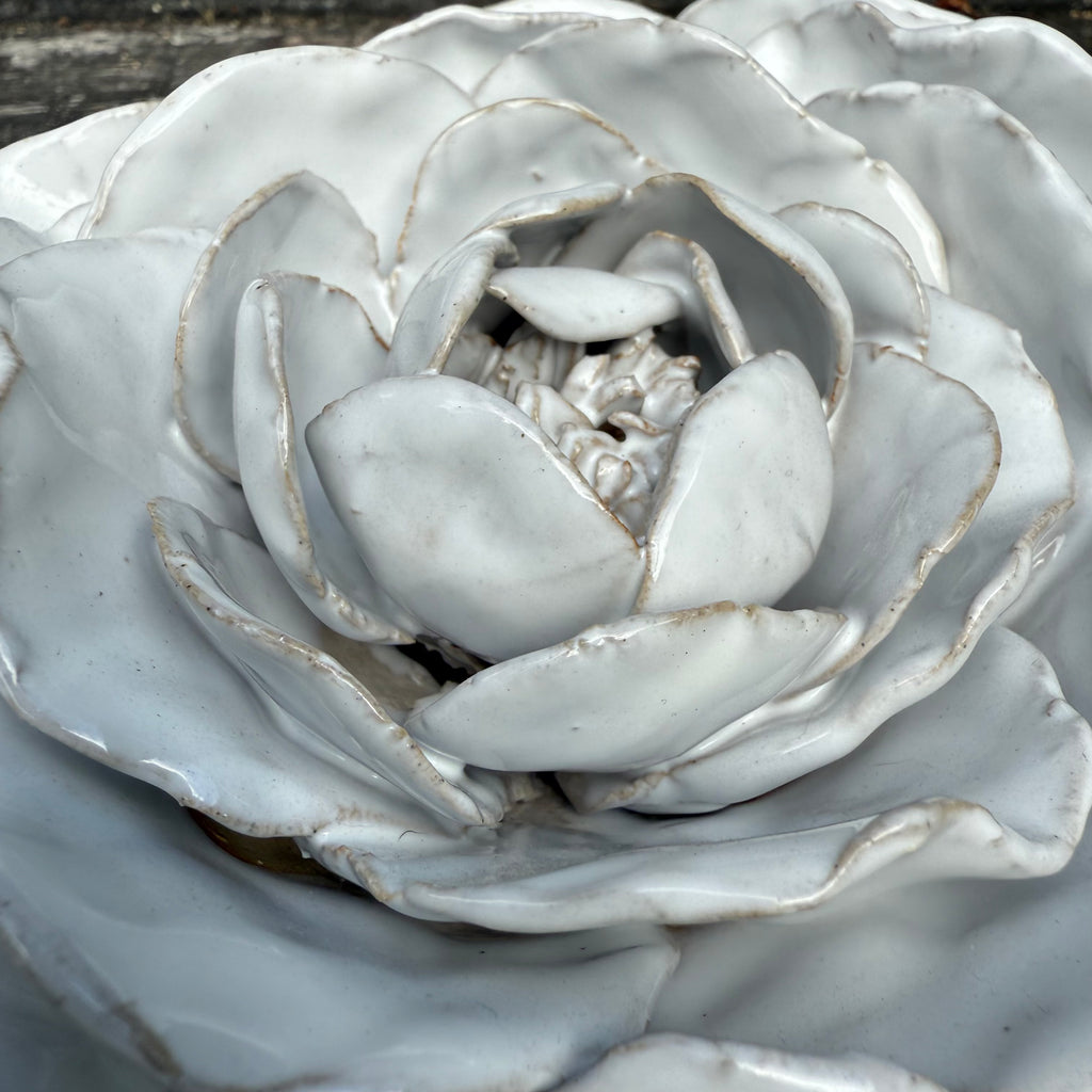 Large White Rose - table display/centrepiece