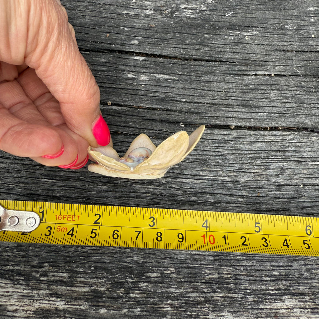 Little diddy ceramic wall flower