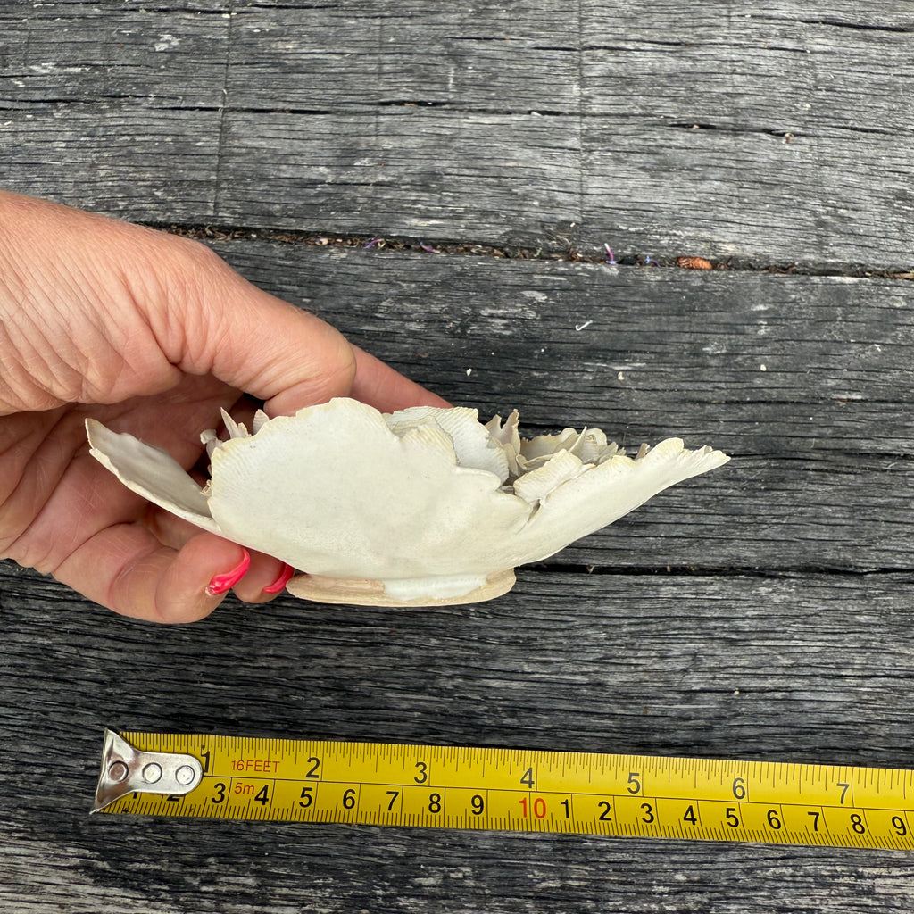 Matt white ceramic wall flower