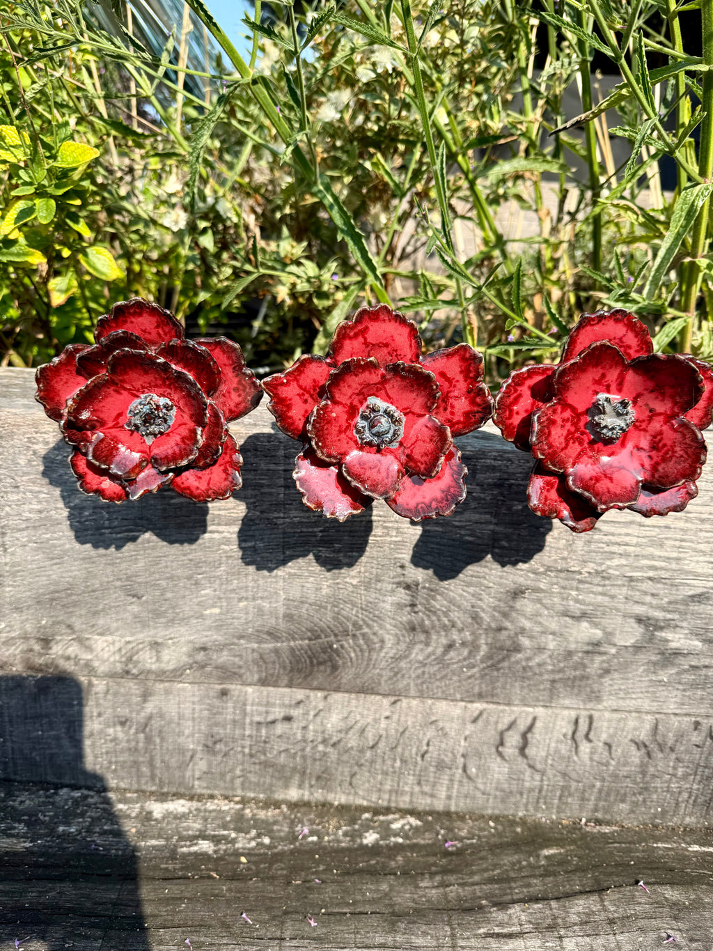 Red flower-shaped objects on a wooden surface with greenery in the background