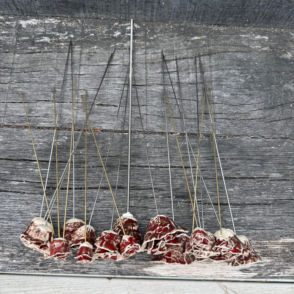 Flowers in ceramics  on a wooden surface
