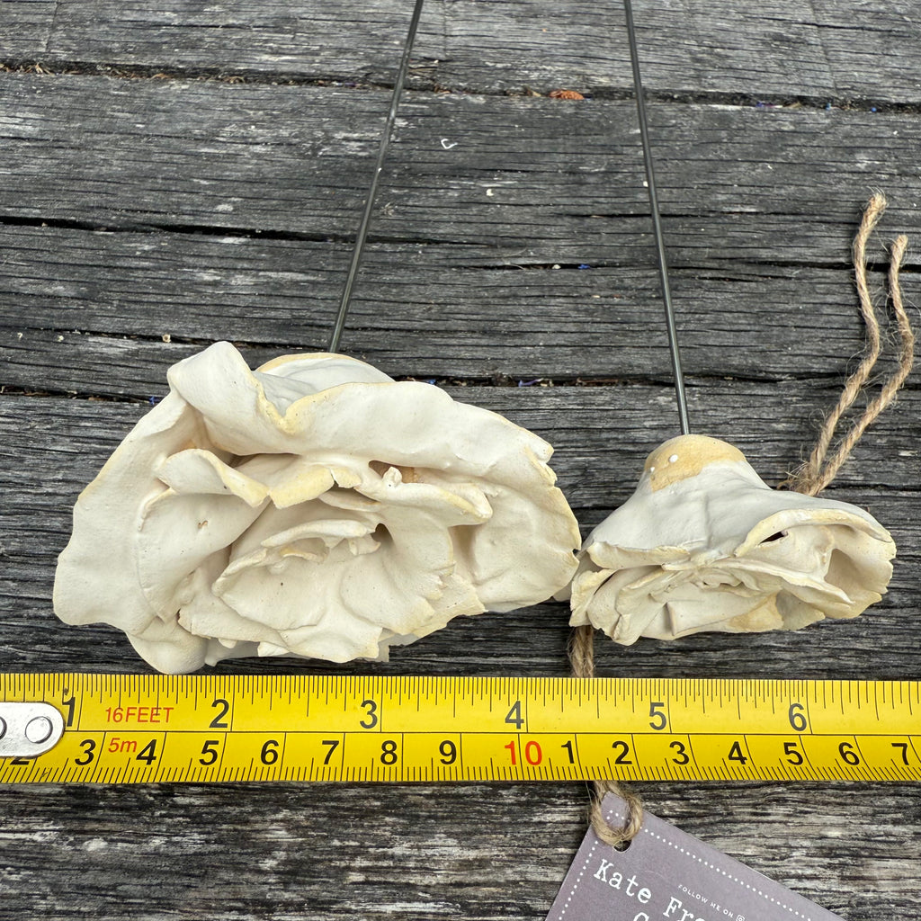 Handmade set of 2 ceramic matt white roses (each on a metal stem)