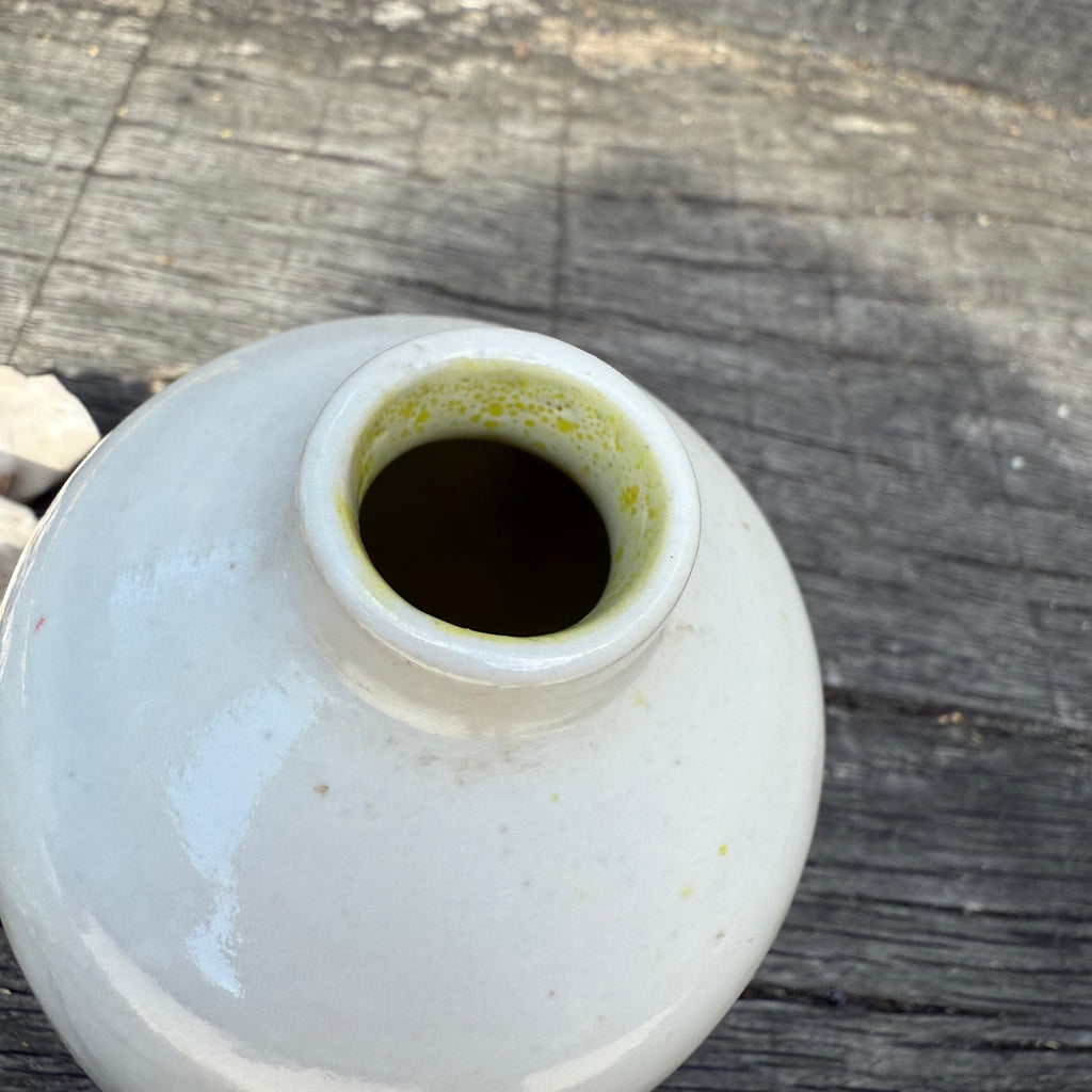 Rosy Posy - 12 white ceramic flowers with vase