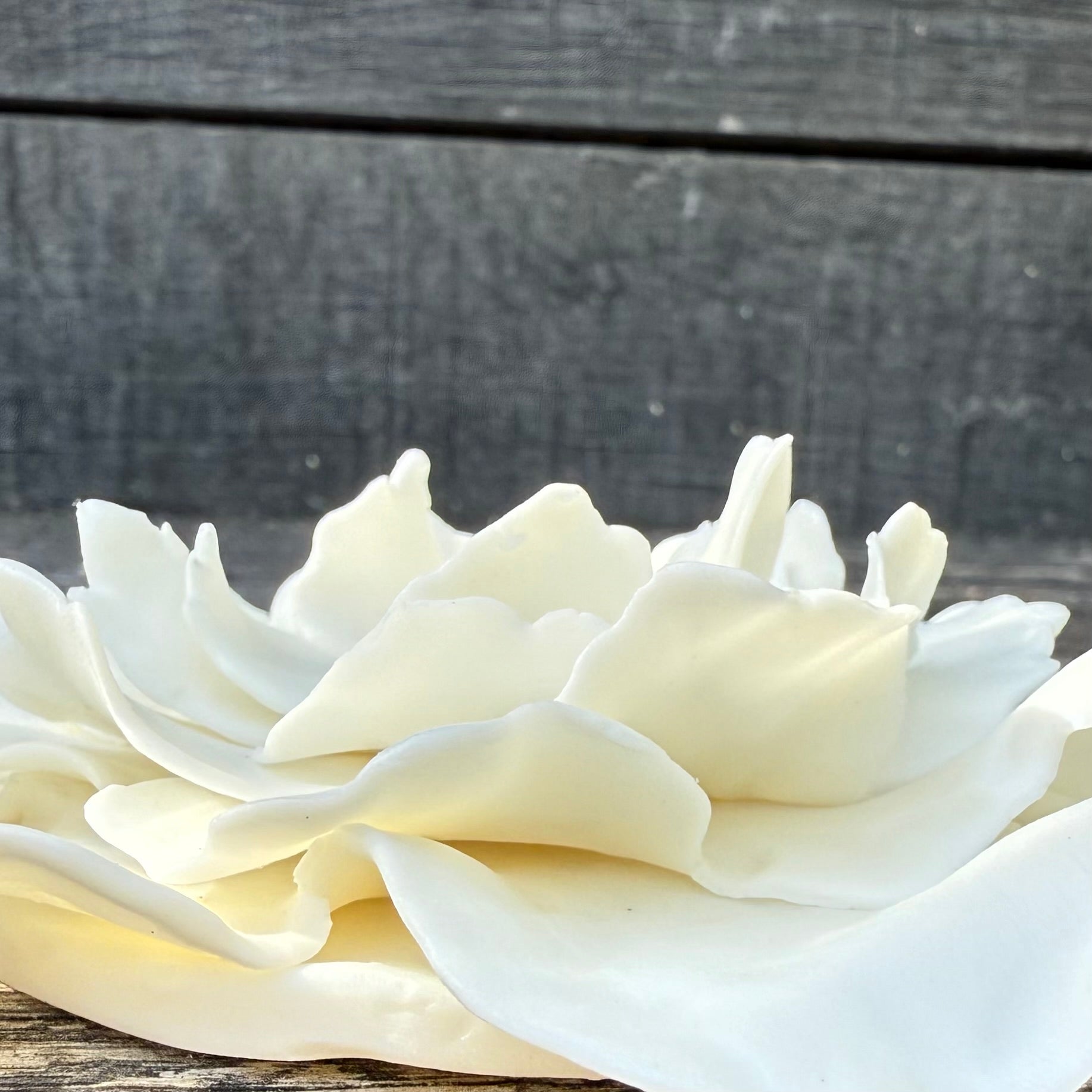 Porcelain flower wall or table flower